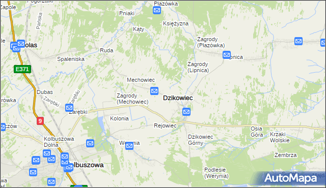 mapa Dzikowiec powiat kolbuszowski, Dzikowiec powiat kolbuszowski na mapie Targeo