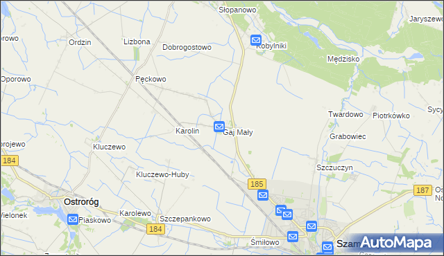 mapa Gaj Mały gmina Obrzycko, Gaj Mały gmina Obrzycko na mapie Targeo