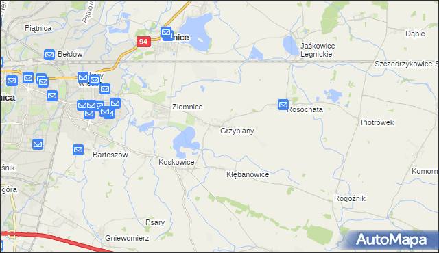 mapa Grzybiany, Grzybiany na mapie Targeo