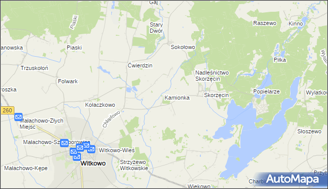 mapa Kamionka gmina Witkowo, Kamionka gmina Witkowo na mapie Targeo