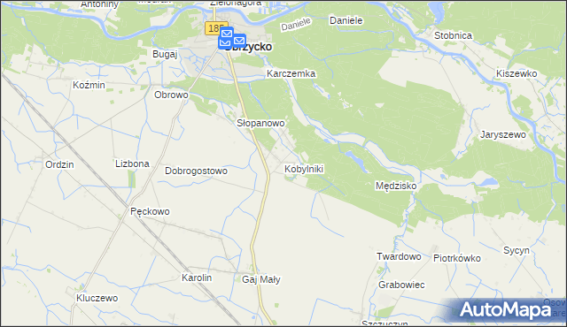 mapa Kobylniki gmina Obrzycko, Kobylniki gmina Obrzycko na mapie Targeo