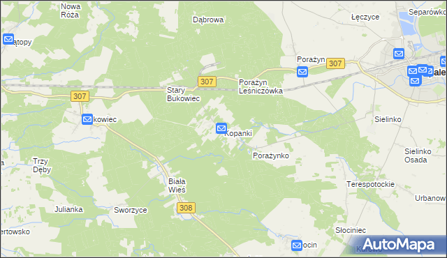 mapa Kopanki gmina Opalenica, Kopanki gmina Opalenica na mapie Targeo