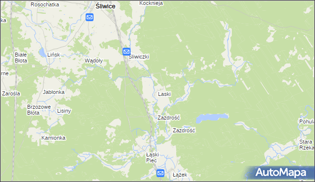 mapa Laski gmina Śliwice, Laski gmina Śliwice na mapie Targeo