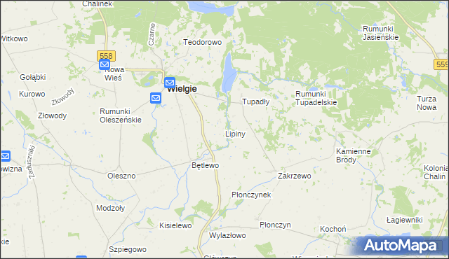 mapa Lipiny gmina Wielgie, Lipiny gmina Wielgie na mapie Targeo