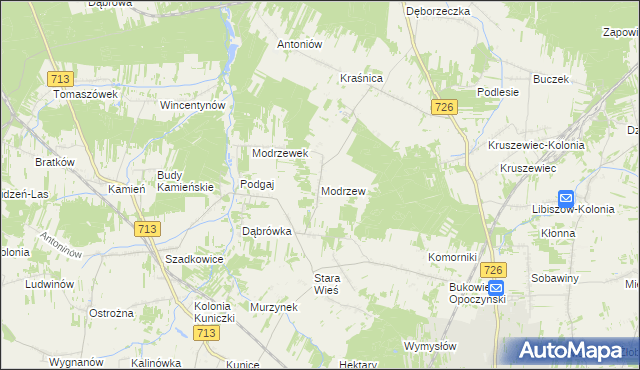 mapa Modrzew gmina Opoczno, Modrzew gmina Opoczno na mapie Targeo