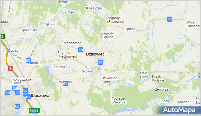 mapa Nowy Dzikowiec, Nowy Dzikowiec na mapie Targeo