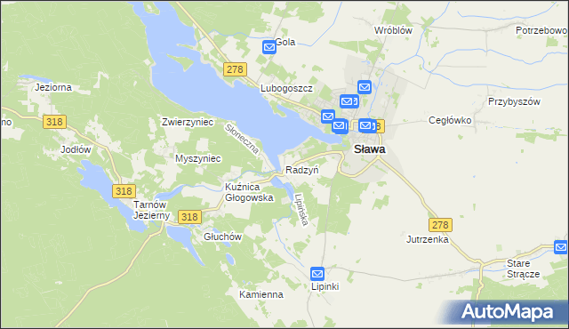 mapa Radzyń gmina Sława, Radzyń gmina Sława na mapie Targeo