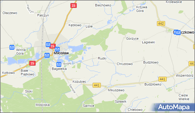 mapa Rudki gmina Miłosław, Rudki gmina Miłosław na mapie Targeo