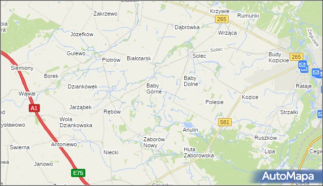mapa Rybne gmina Gostynin, Rybne gmina Gostynin na mapie Targeo