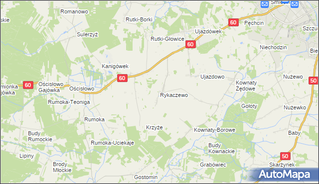 mapa Rykaczewo gmina Ciechanów, Rykaczewo gmina Ciechanów na mapie Targeo