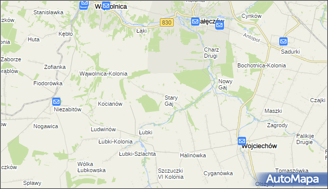 mapa Stary Gaj gmina Wojciechów, Stary Gaj gmina Wojciechów na mapie Targeo