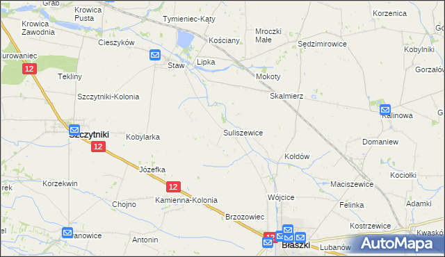 mapa Suliszewice gmina Błaszki, Suliszewice gmina Błaszki na mapie Targeo