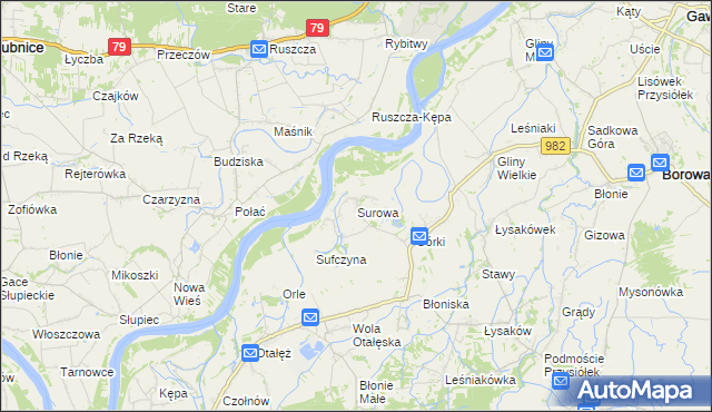 mapa Surowa gmina Borowa, Surowa gmina Borowa na mapie Targeo