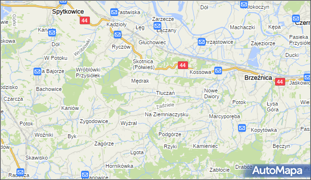 mapa Tłuczań, Tłuczań na mapie Targeo