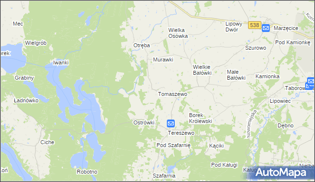 mapa Tomaszewo gmina Kurzętnik, Tomaszewo gmina Kurzętnik na mapie Targeo