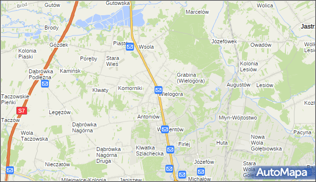 mapa Wielogóra gmina Jedlińsk, Wielogóra gmina Jedlińsk na mapie Targeo