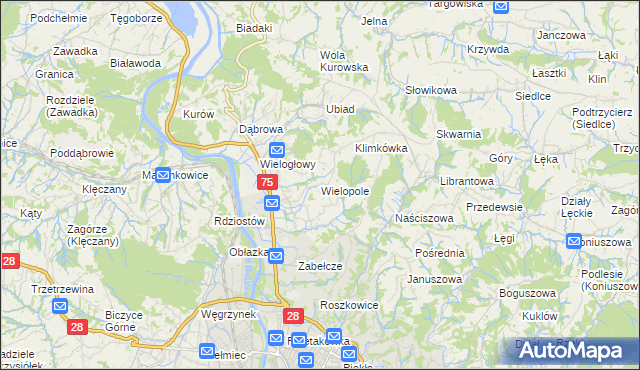 mapa Wielopole gmina Chełmiec, Wielopole gmina Chełmiec na mapie Targeo