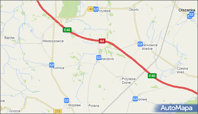 mapa Wierzbnik gmina Grodków, Wierzbnik gmina Grodków na mapie Targeo