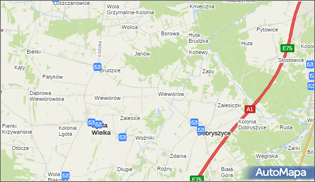 mapa Wiewiórów gmina Dobryszyce, Wiewiórów gmina Dobryszyce na mapie Targeo