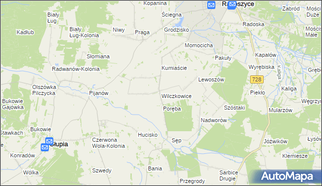 mapa Wilczkowice gmina Radoszyce, Wilczkowice gmina Radoszyce na mapie Targeo