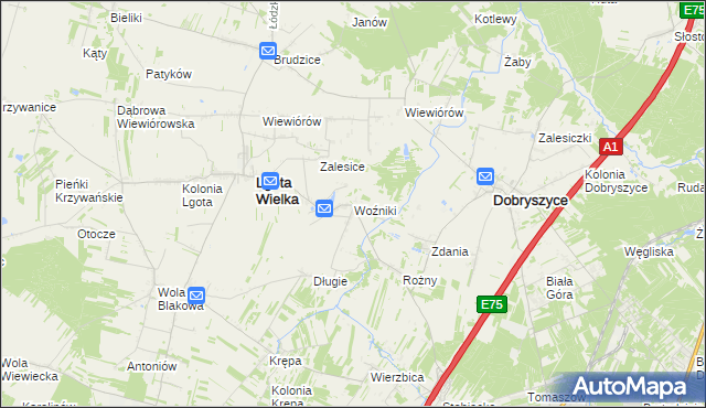 mapa Woźniki gmina Lgota Wielka, Woźniki gmina Lgota Wielka na mapie Targeo