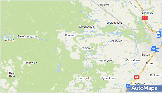 mapa Żabieniec gmina Lipno, Żabieniec gmina Lipno na mapie Targeo