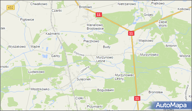 mapa Murzynowo Leśne, Murzynowo Leśne na mapie Targeo