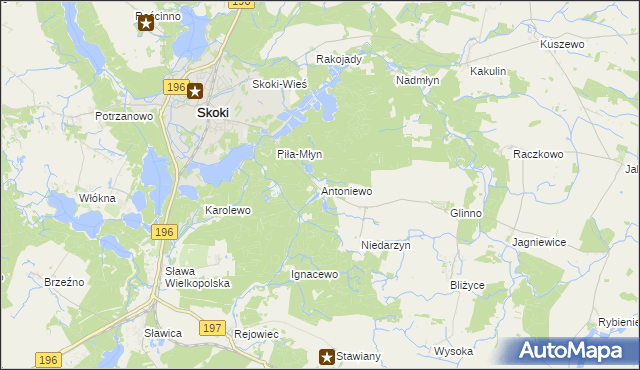 mapa Antoniewo gmina Skoki, Antoniewo gmina Skoki na mapie Targeo
