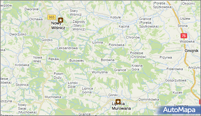 mapa Borówna, Borówna na mapie Targeo