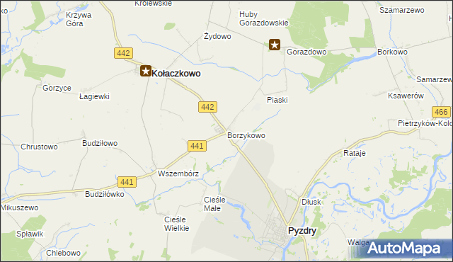 mapa Borzykowo gmina Kołaczkowo, Borzykowo gmina Kołaczkowo na mapie Targeo