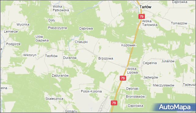 mapa Brzozowa gmina Tarłów, Brzozowa gmina Tarłów na mapie Targeo