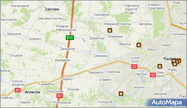 mapa Cerekiew gmina Zakrzew, Cerekiew gmina Zakrzew na mapie Targeo
