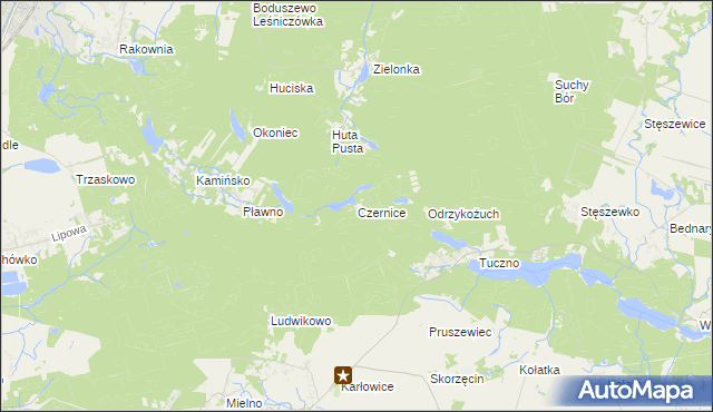 mapa Czernice gmina Murowana Goślina, Czernice gmina Murowana Goślina na mapie Targeo