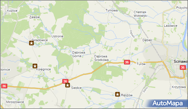 mapa Dąbrowa Środkowa, Dąbrowa Środkowa na mapie Targeo