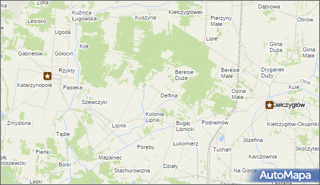 mapa Delfina gmina Siemkowice, Delfina gmina Siemkowice na mapie Targeo