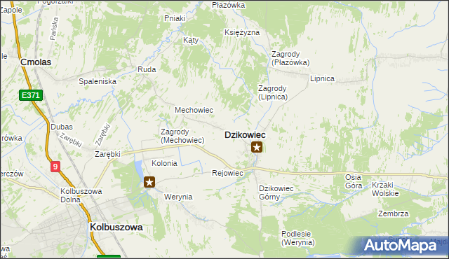 mapa Dzikowiec powiat kolbuszowski, Dzikowiec powiat kolbuszowski na mapie Targeo