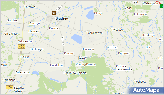 mapa Janiszew gmina Brudzew, Janiszew gmina Brudzew na mapie Targeo