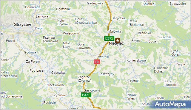 mapa Jawornik gmina Niebylec, Jawornik gmina Niebylec na mapie Targeo