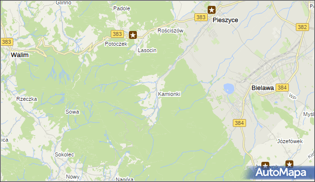 mapa Kamionki gmina Pieszyce, Kamionki gmina Pieszyce na mapie Targeo