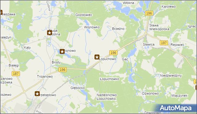 mapa Łopuchowo gmina Murowana Goślina, Łopuchowo gmina Murowana Goślina na mapie Targeo