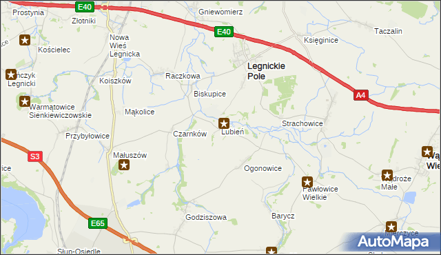 mapa Lubień gmina Legnickie Pole, Lubień gmina Legnickie Pole na mapie Targeo