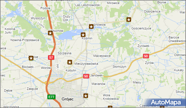 mapa Maciejowice gmina Grójec, Maciejowice gmina Grójec na mapie Targeo