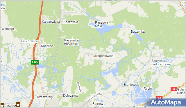 mapa Miłogostowice, Miłogostowice na mapie Targeo