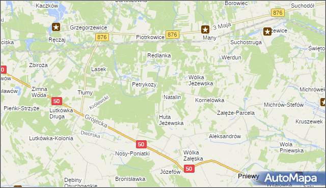 mapa Natalin gmina Pniewy, Natalin gmina Pniewy na mapie Targeo
