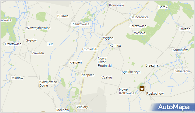 mapa Nowy Dwór Prudnicki, Nowy Dwór Prudnicki na mapie Targeo