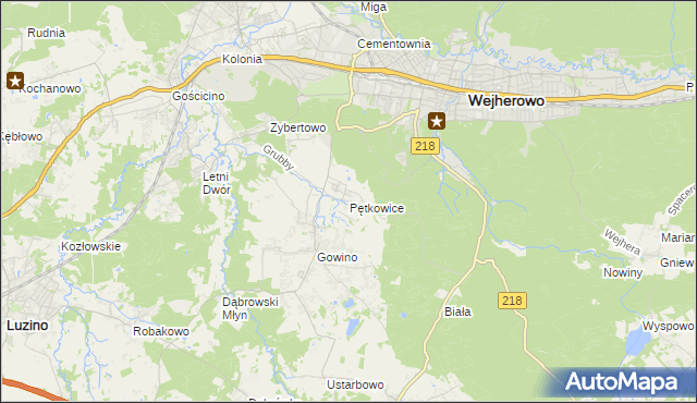 mapa Pętkowice gmina Wejherowo, Pętkowice gmina Wejherowo na mapie Targeo