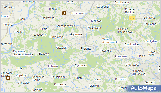 mapa Pleśna powiat tarnowski, Pleśna powiat tarnowski na mapie Targeo