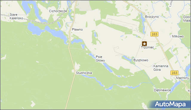 mapa Psie Głowy, Psie Głowy na mapie Targeo