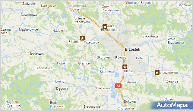 mapa Skurowa, Skurowa na mapie Targeo