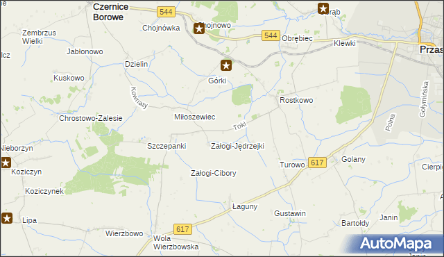mapa Toki gmina Czernice Borowe, Toki gmina Czernice Borowe na mapie Targeo